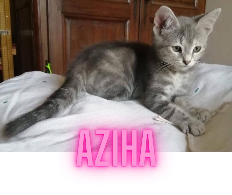 Aziha