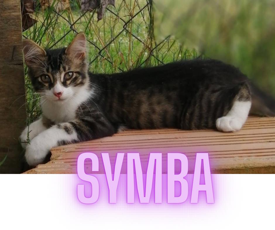 Symba